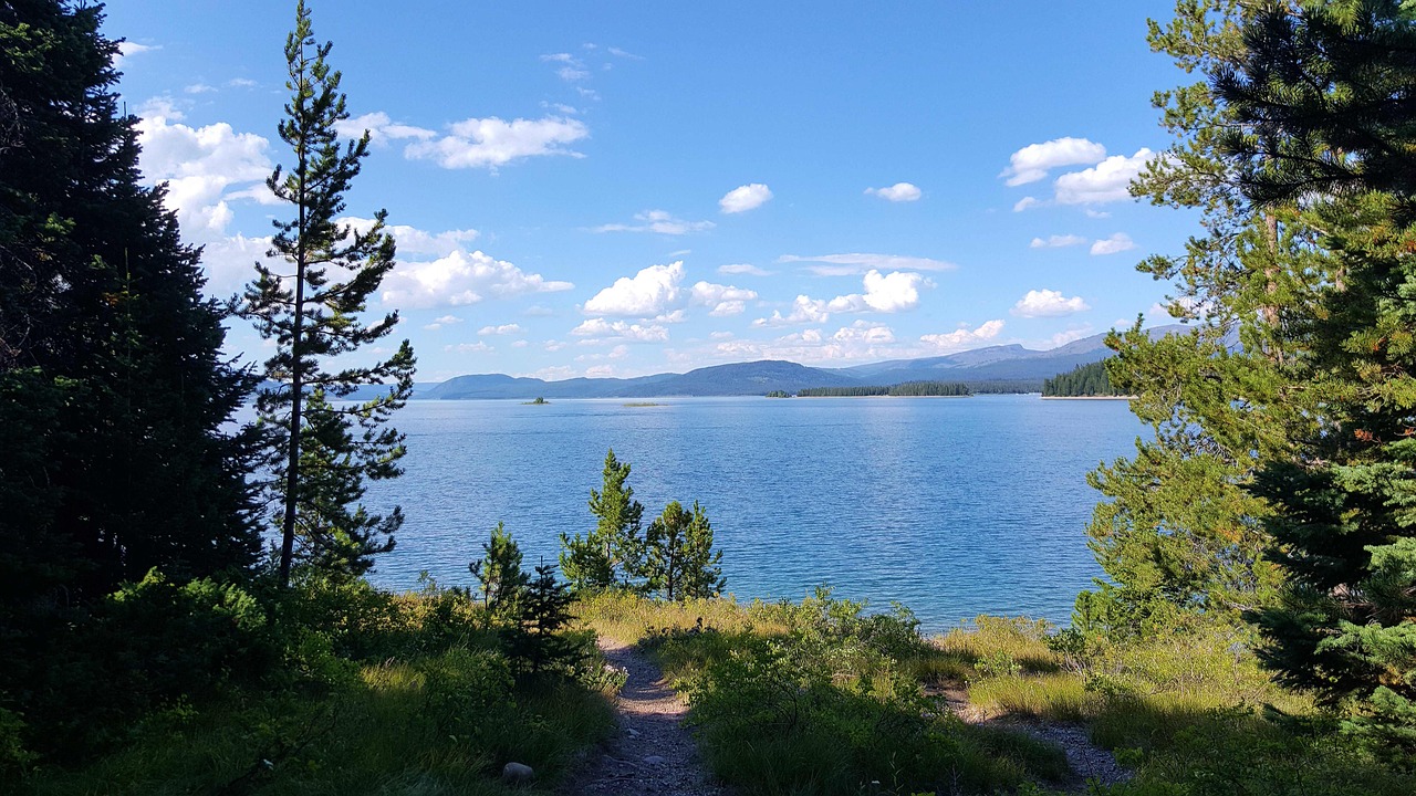 青娛樂最新地址探尋之旅，探索最新動態(tài)與娛樂盛宴的門戶