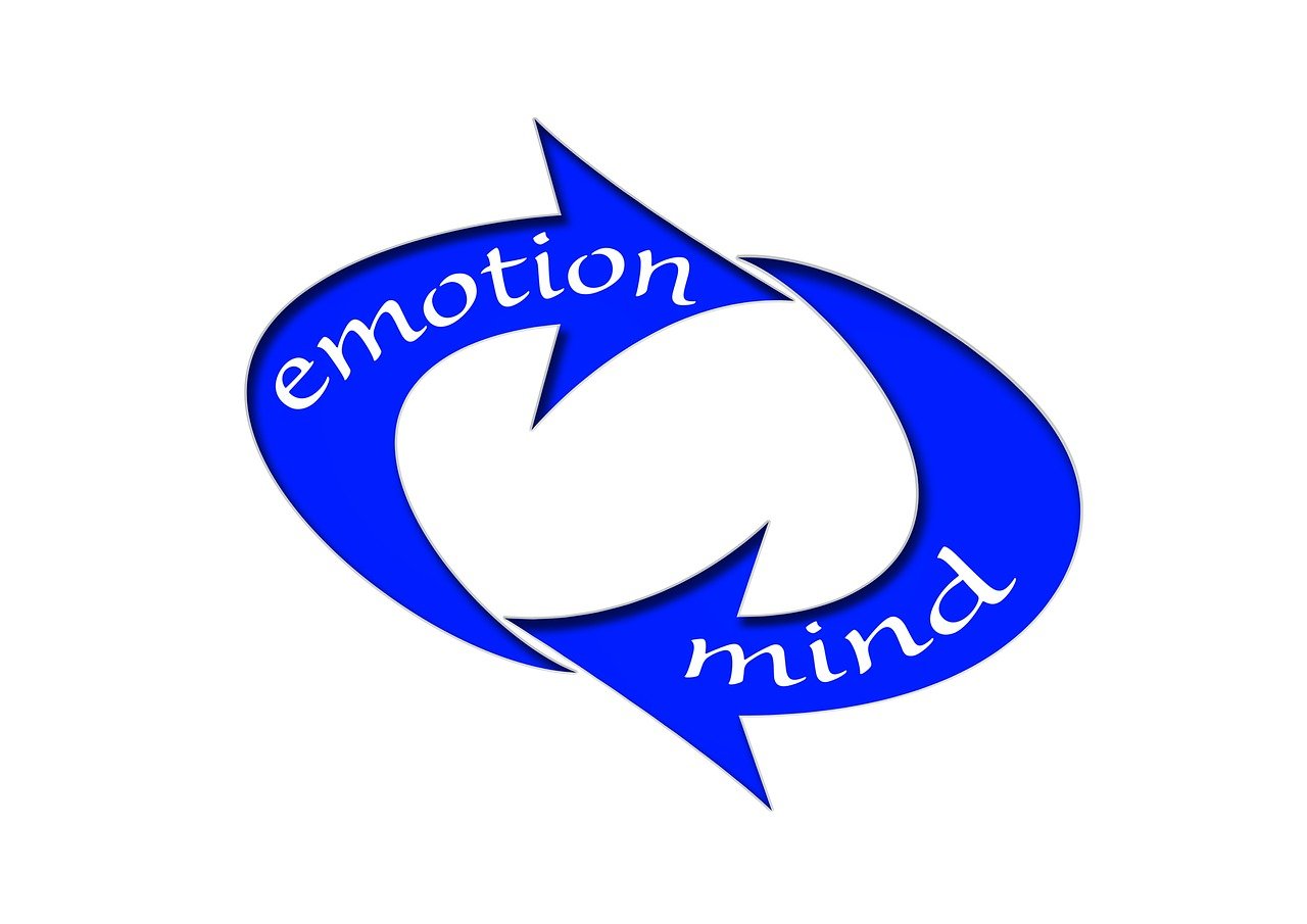 哈佛W01最新消息，引領(lǐng)教育創(chuàng)新與未來發(fā)展