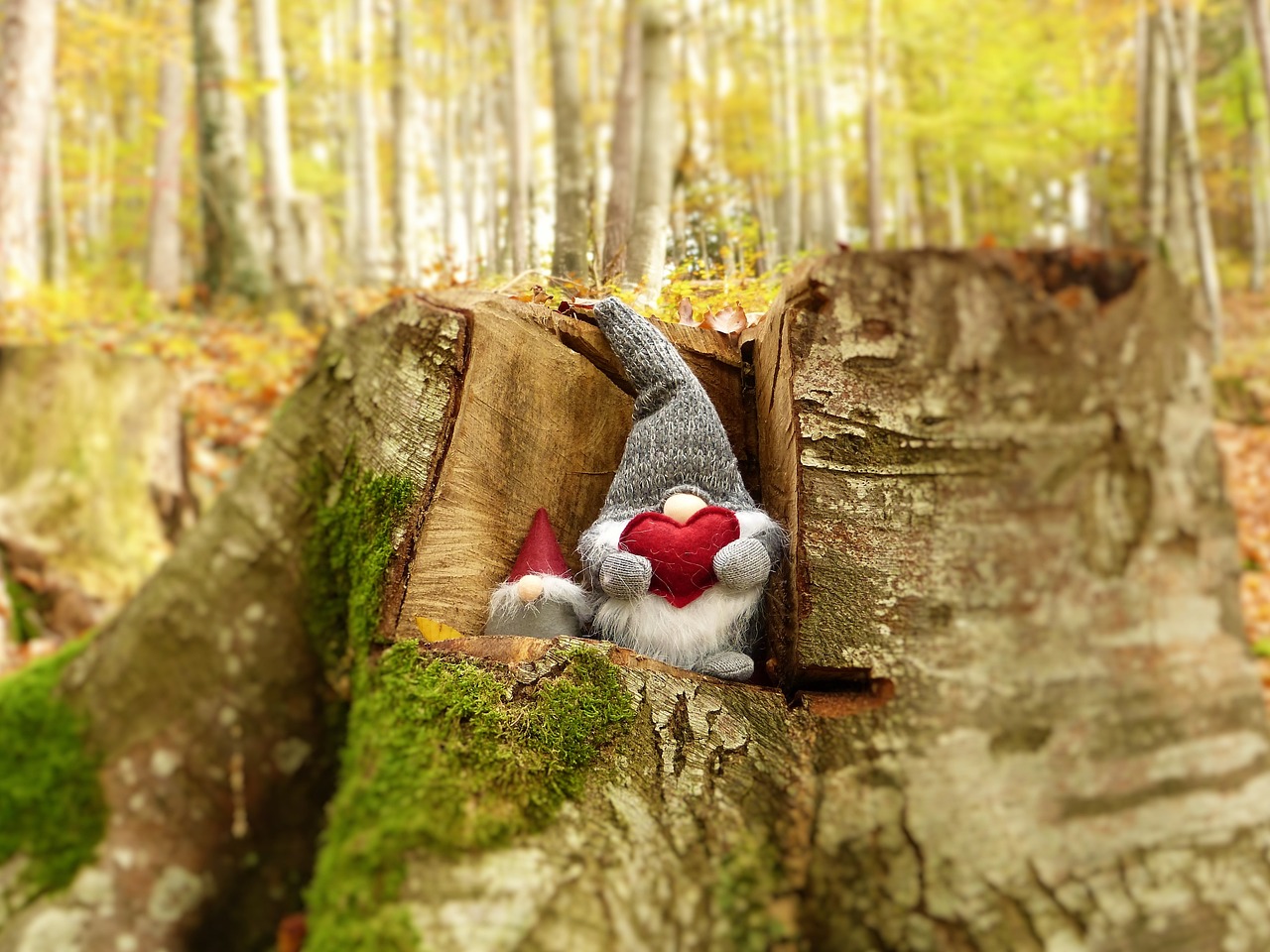 武警王信的英勇事跡與時代精神，最新消息揭秘