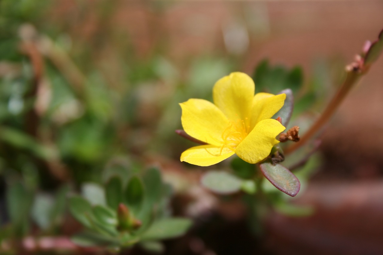 威海泊于水庫最新動態(tài)，進展、影響與展望