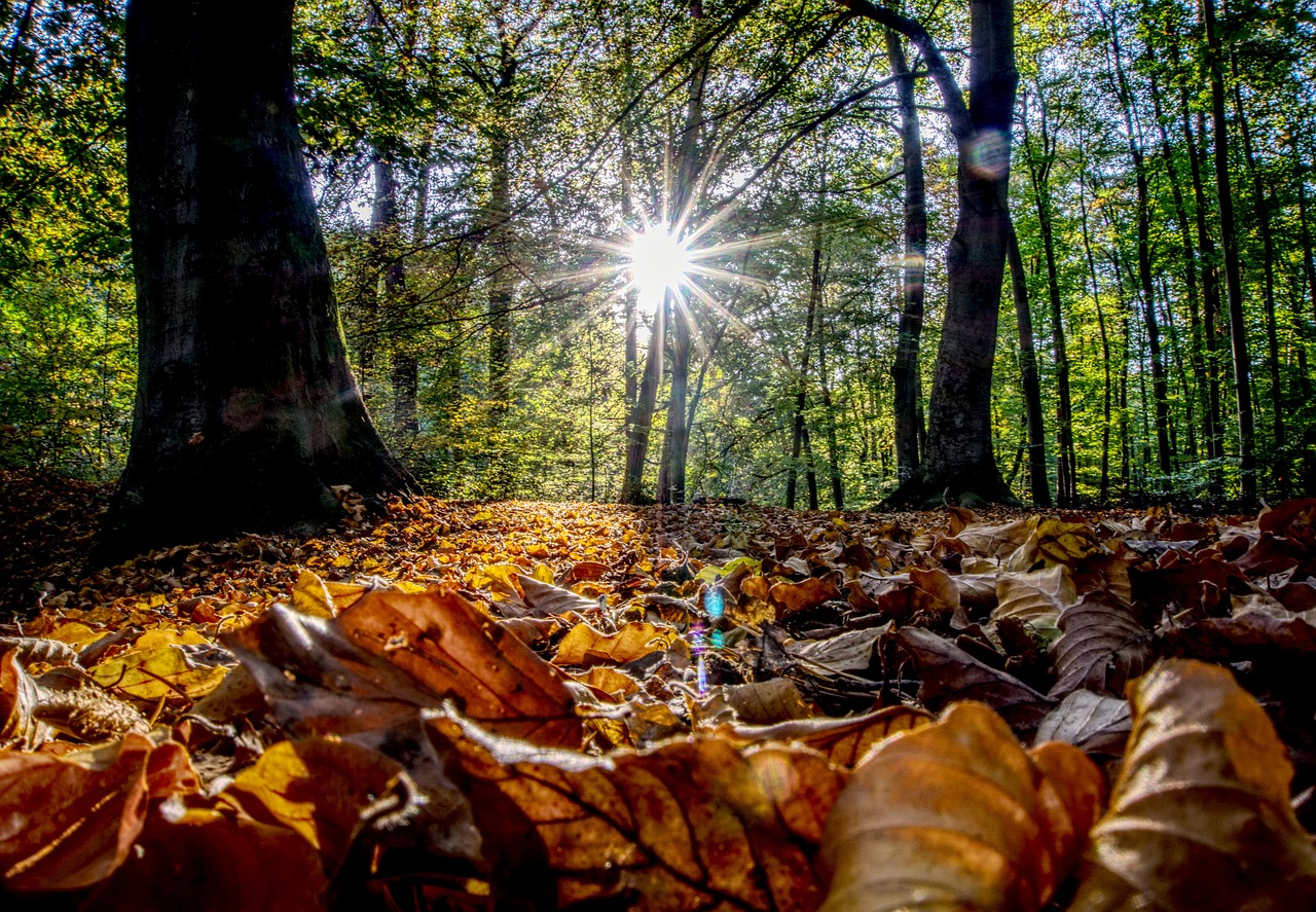 古劍奇譚三最新動(dòng)態(tài)揭秘，新內(nèi)容、玩法與體驗(yàn)全解析