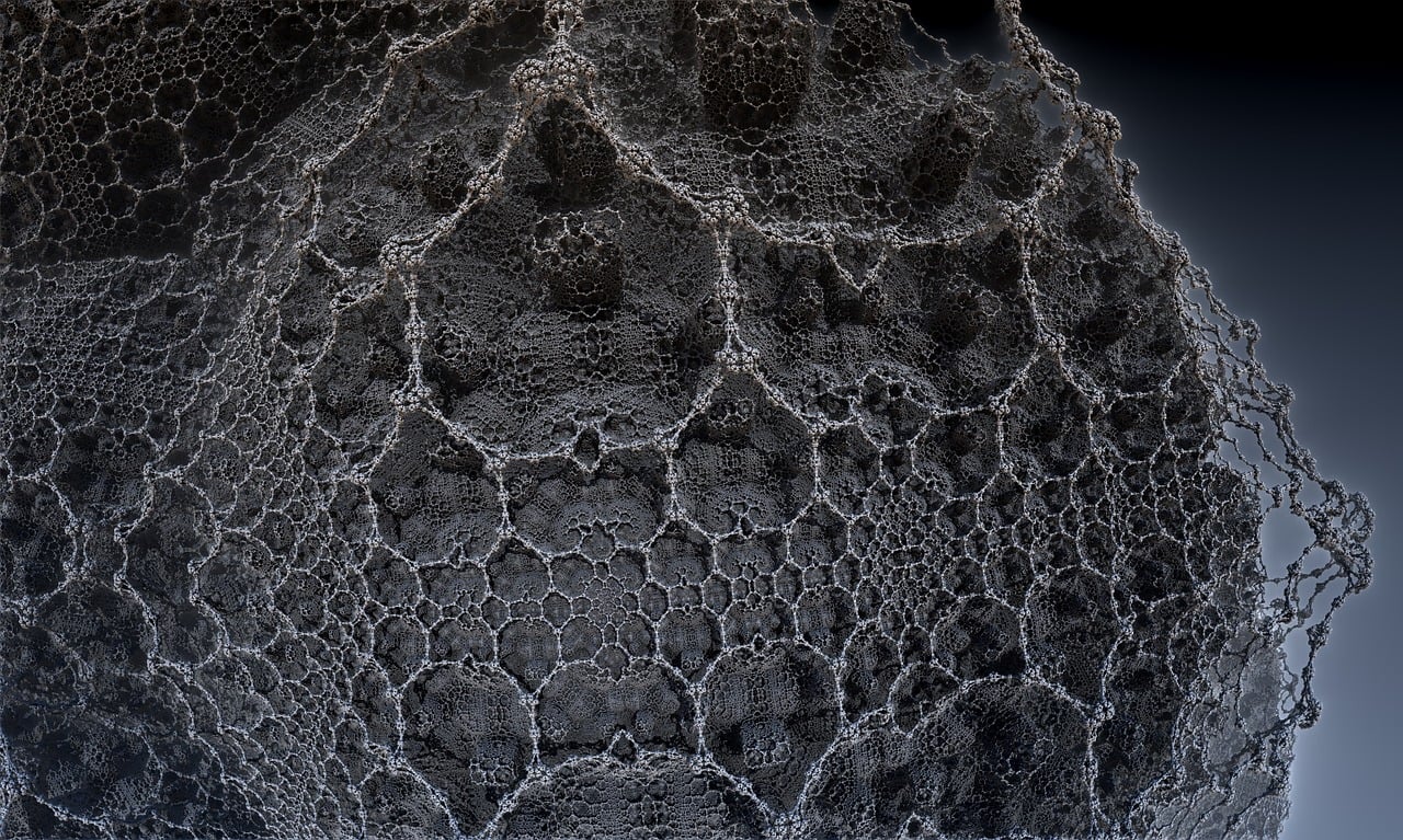 遼寧隋顯利最新動(dòng)態(tài)，傳奇人物的嶄新篇章