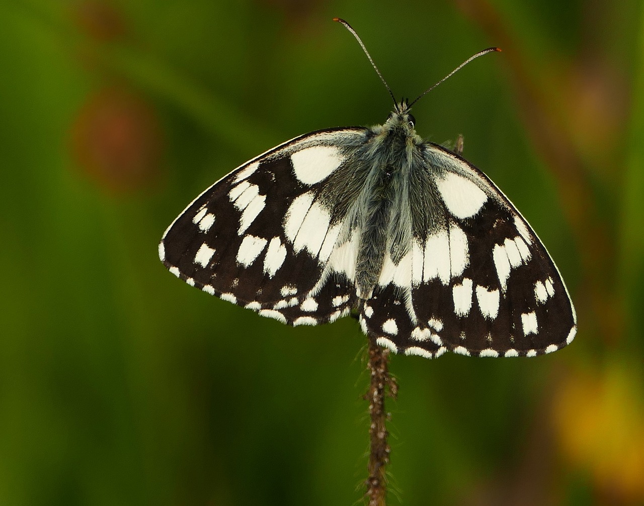 容縣二手房最新信息概覽，最新房源、價(jià)格及交易動(dòng)態(tài)一網(wǎng)打盡！