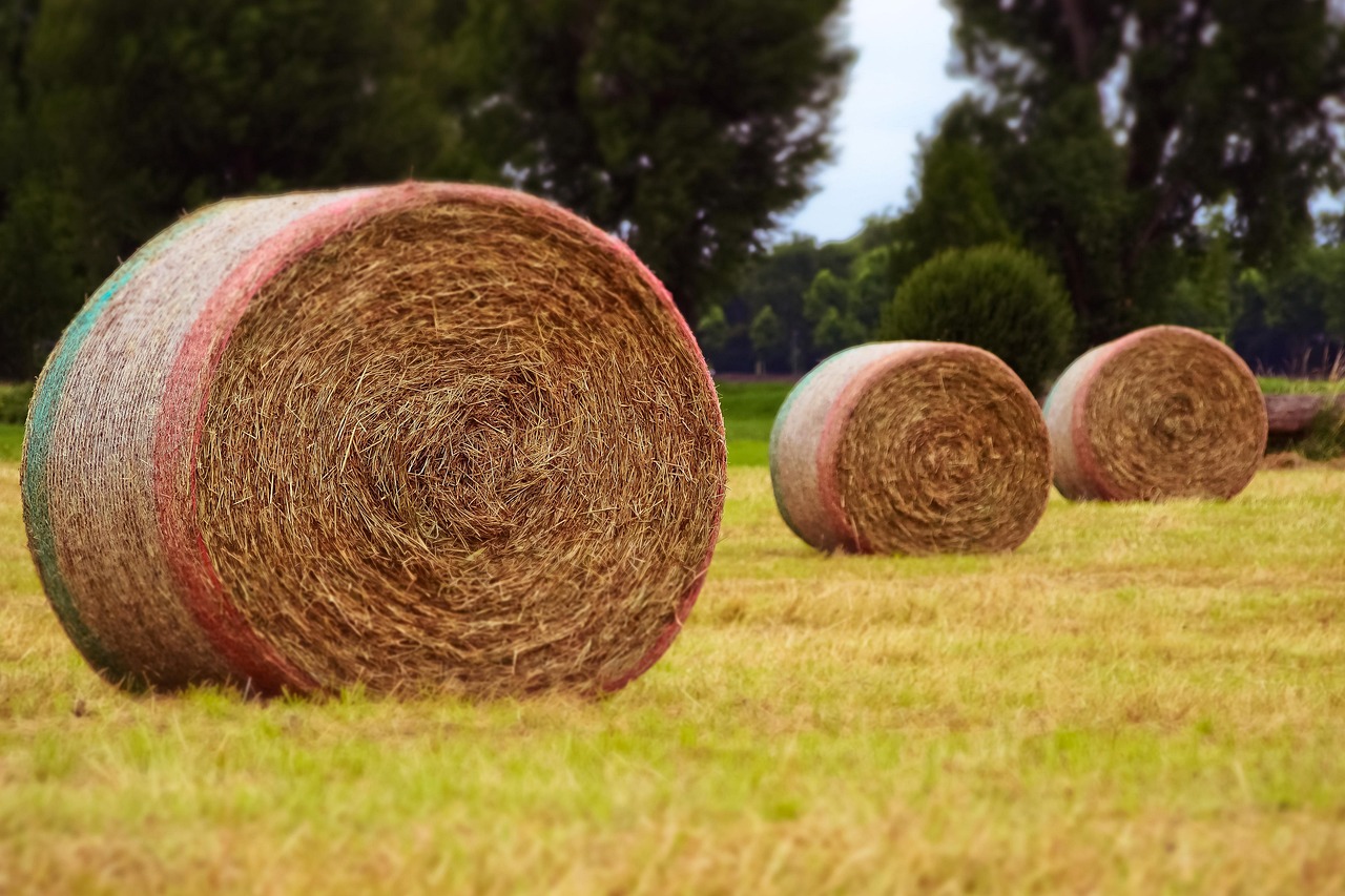 威寧貼吧網(wǎng)最新消息綜述，一網(wǎng)打盡最新動(dòng)態(tài)