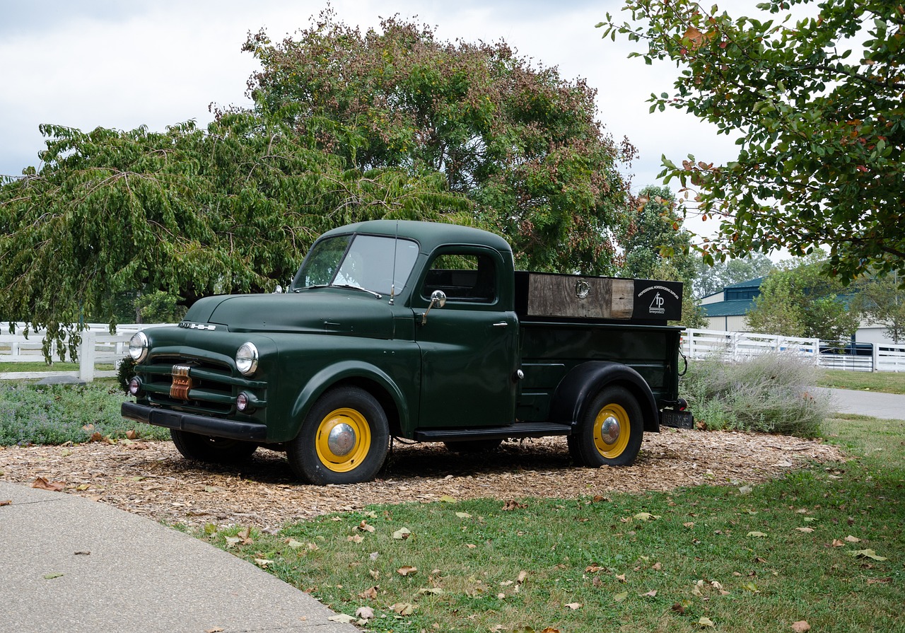 豪門(mén)又一城最新動(dòng)態(tài)，揭開(kāi)未來(lái)繁榮序幕的揭秘消息