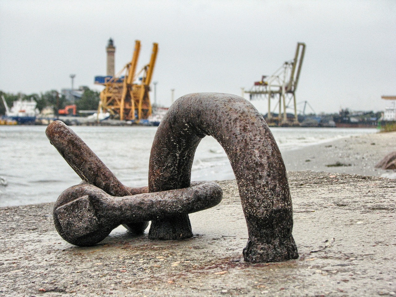 大連外經(jīng)貿(mào)最新消息概覽，最新動態(tài)與發(fā)展分析