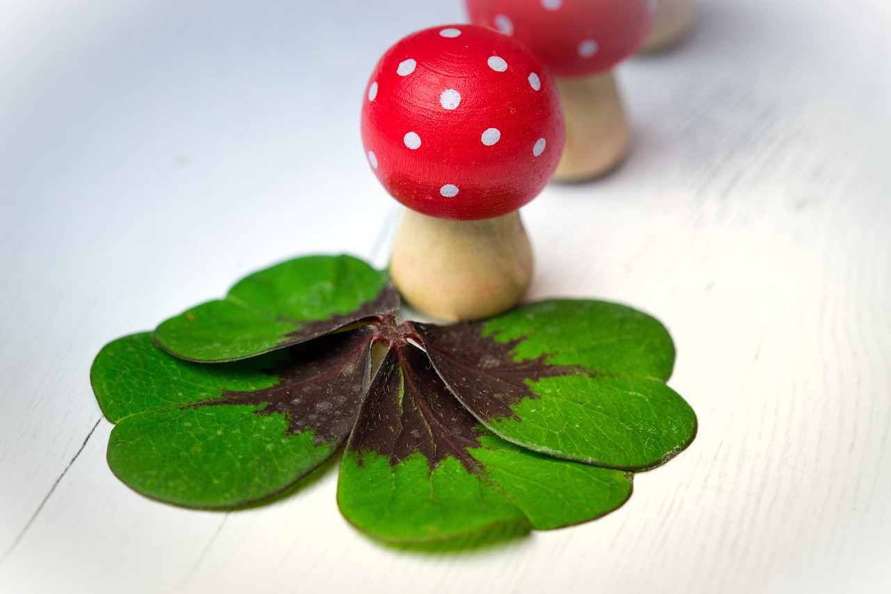 華清御園最新動(dòng)態(tài)，展現(xiàn)獨(dú)特魅力與未來(lái)發(fā)展藍(lán)圖揭秘