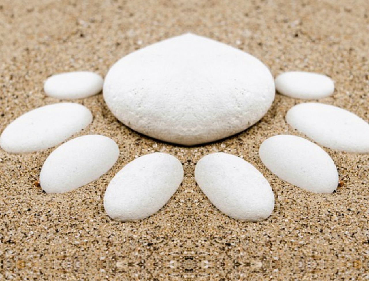 本兮官網(wǎng)最新動態(tài)，音樂之旅全新啟程