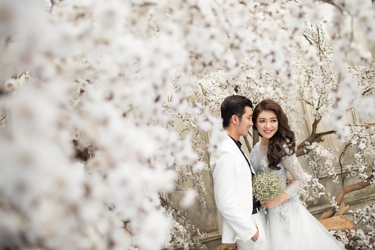 總裁的獨寵妻，權力與情感的碰撞與交織