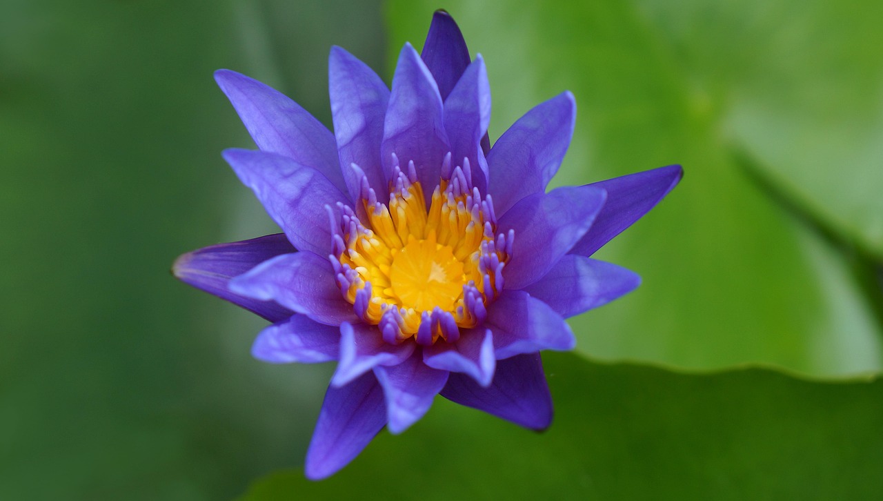 雙陽區(qū)火車站邁向現(xiàn)代化，提升服務(wù)質(zhì)量，最新動(dòng)態(tài)報(bào)告