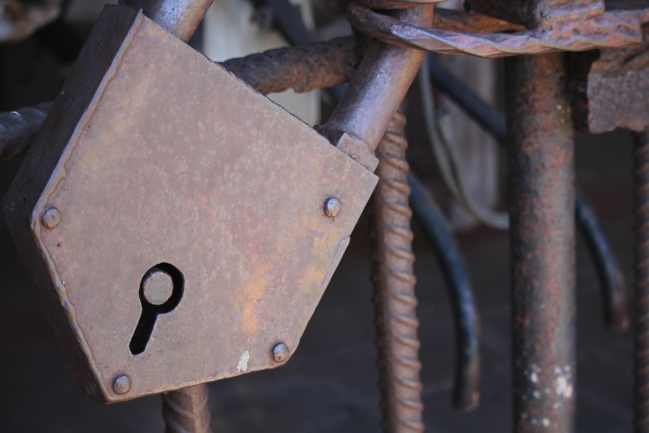 廣東省黨代會(huì)最新動(dòng)態(tài)，新時(shí)代的新征程啟航