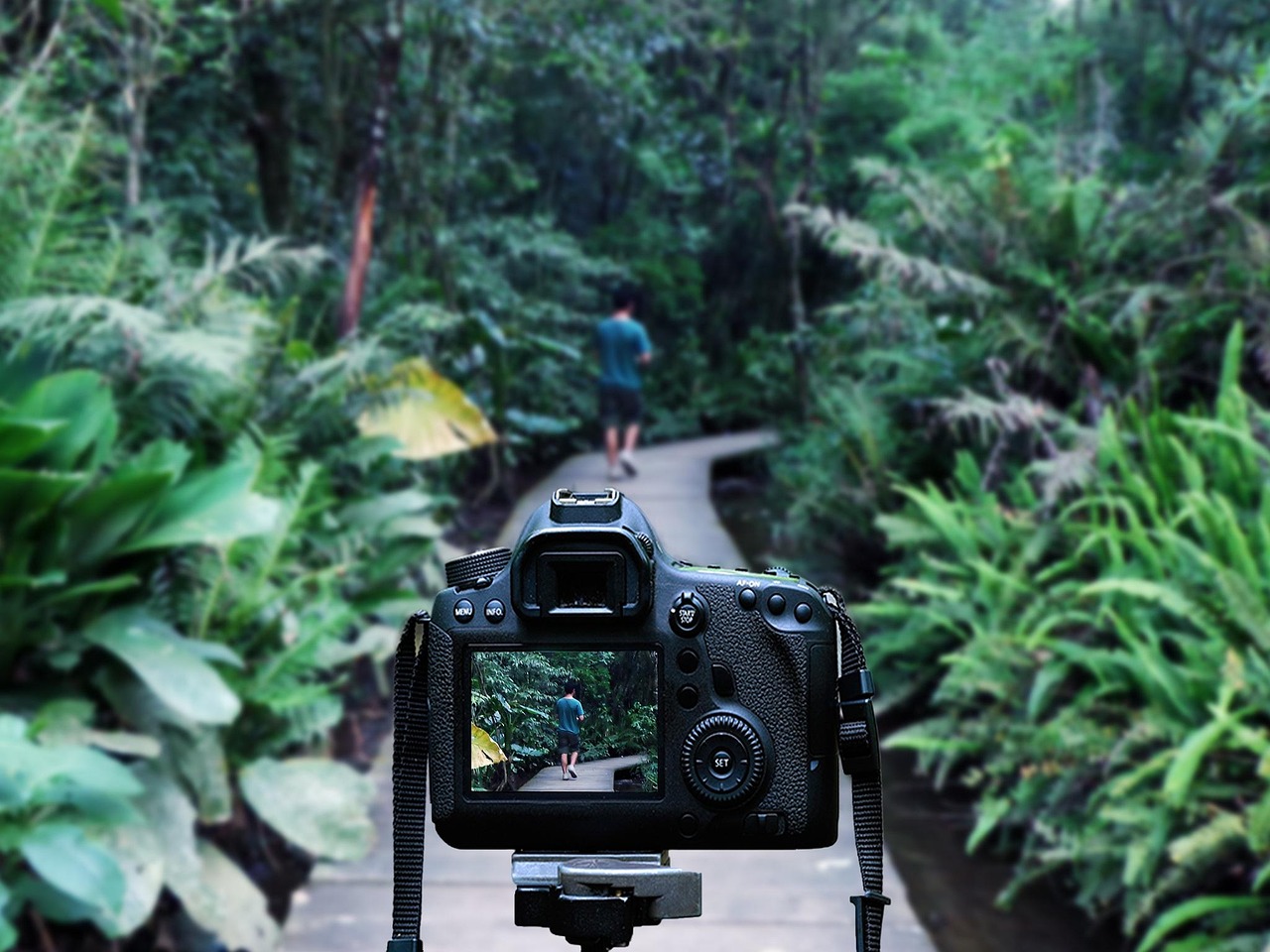 灌南高鐵站最新消息深度解析，最新動態(tài)與進展