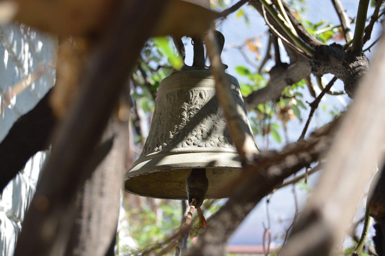 佛山高明房價(jià)最新動(dòng)態(tài)，市場(chǎng)走勢(shì)、未來展望與最新消息