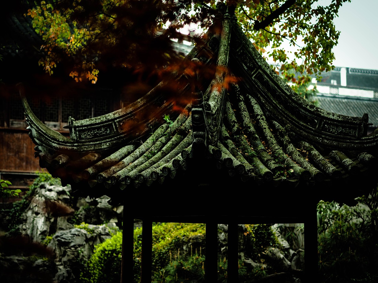 中國女排隊(duì)蓄勢待發(fā)，展現(xiàn)新篇章，最新消息與動態(tài)速遞