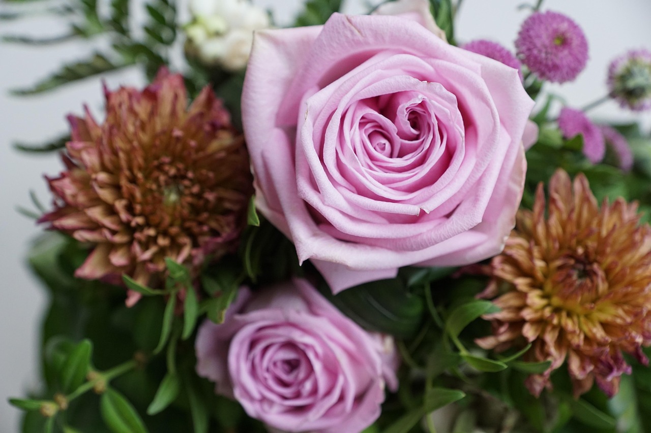 金谷美麗城最新動態(tài)，揭開未來繁華序幕