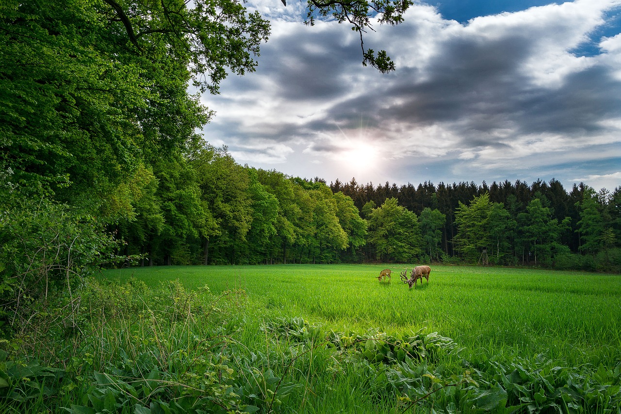 最新快手版本探索與解析，版本更新動(dòng)態(tài)及功能解析