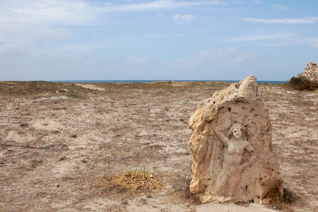 濱海旅游區(qū)新動(dòng)態(tài)，世界級(jí)旅游目的地打造最新消息