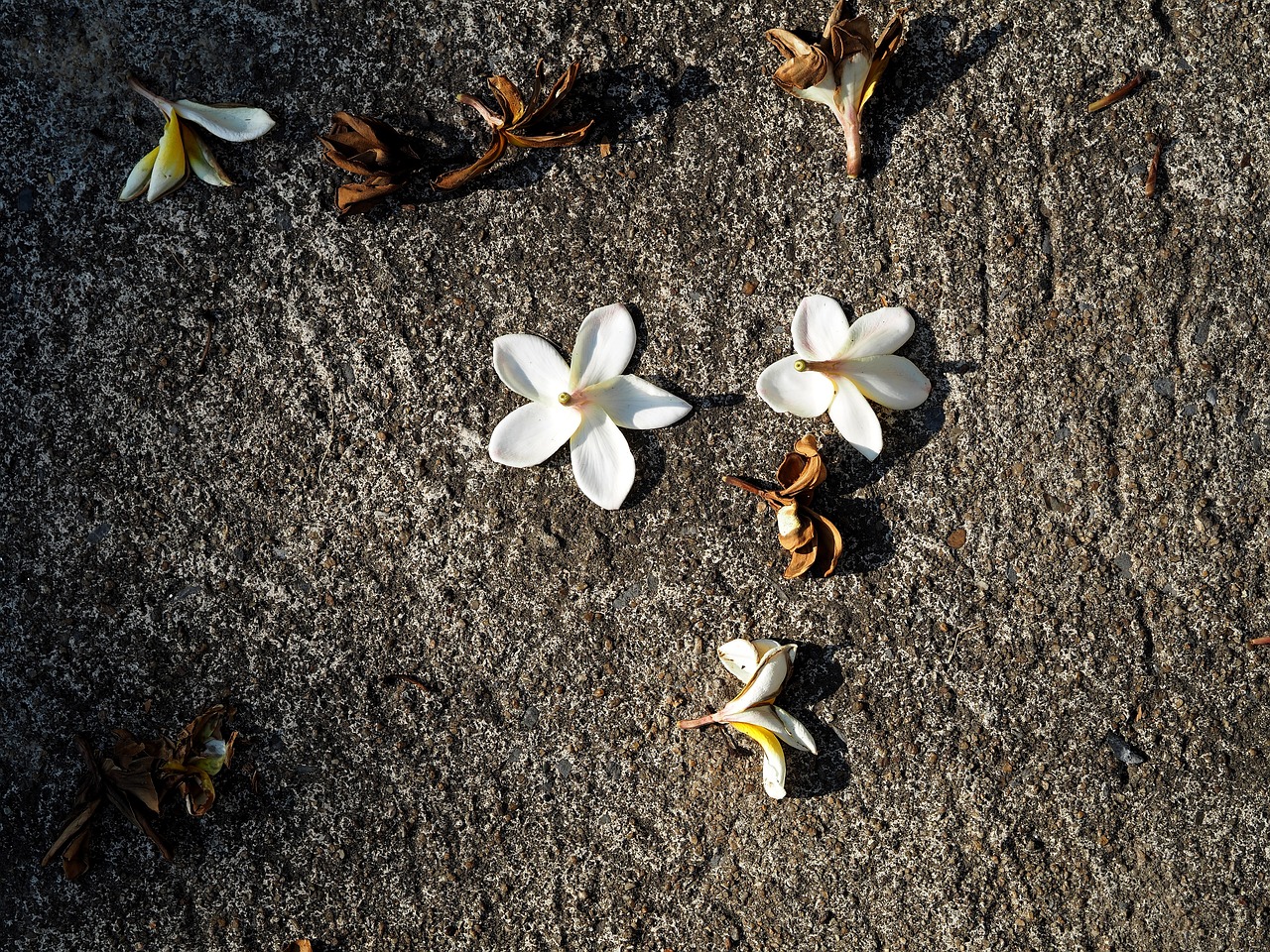 紅安余學(xué)武最新消息更新，余學(xué)武的最新動(dòng)態(tài)揭秘