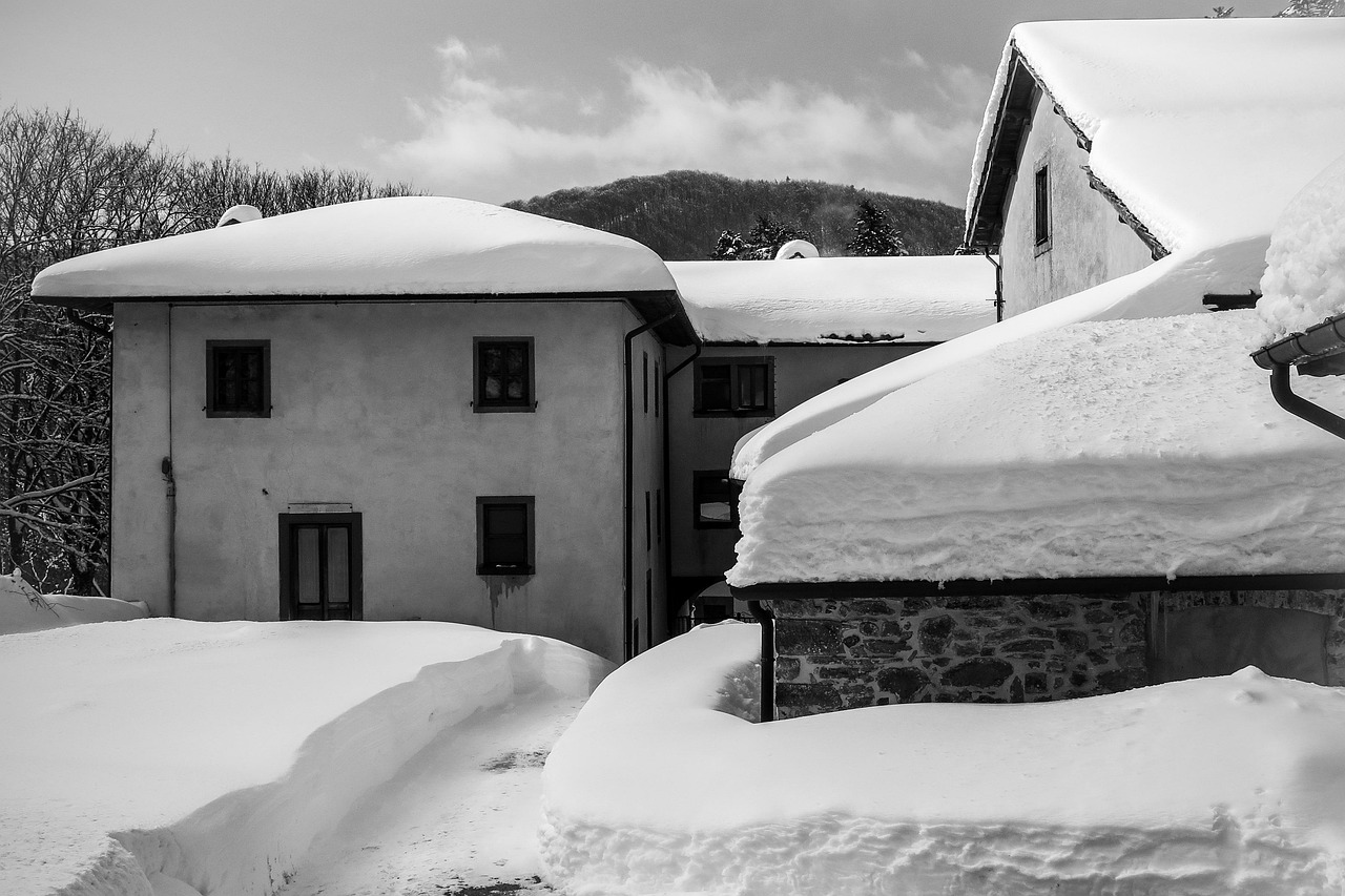 三林拆違動(dòng)態(tài)更新，最新消息匯總