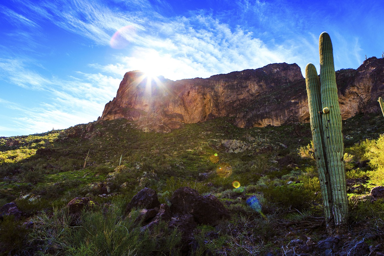 蘭州富士康最新動(dòng)態(tài)，發(fā)展、影響與未來展望全面解讀