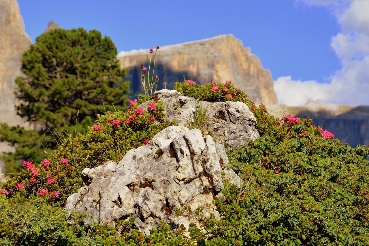 哈市道外區(qū)最新招聘動(dòng)態(tài)，崗位發(fā)布與影響分析