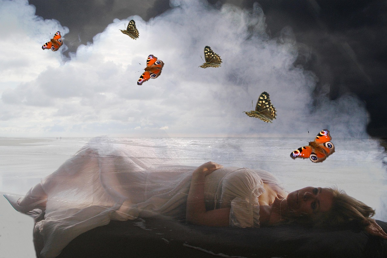 松木塘工業(yè)園最新招聘動態(tài)解析，人才需求與招聘信息概覽