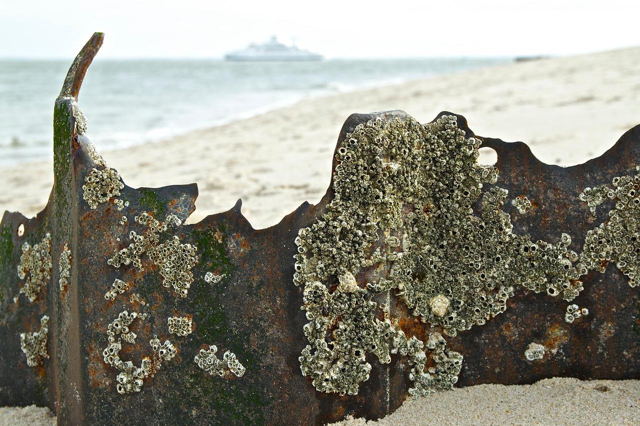 日本失聯(lián)老師最新動(dòng)態(tài)，搜救行動(dòng)進(jìn)展與持續(xù)關(guān)注聚焦