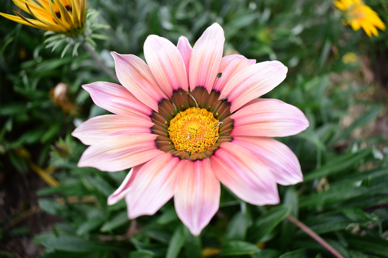 云聯(lián)惠重塑零售業(yè)格局的最新動(dòng)態(tài)報(bào)道，重塑零售業(yè)的力量與趨勢(shì)分析