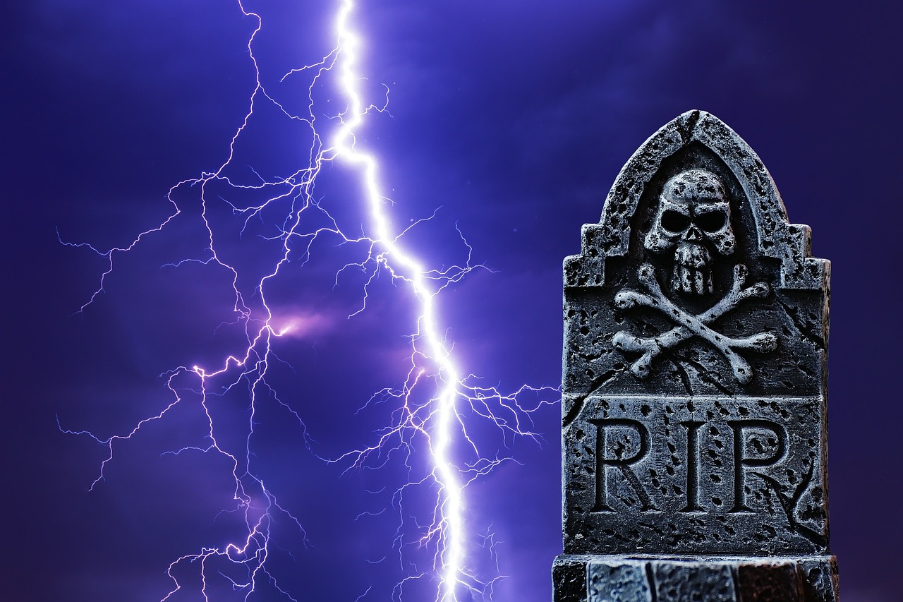 閃咖下載最新版本，探索其魅力與優(yōu)勢