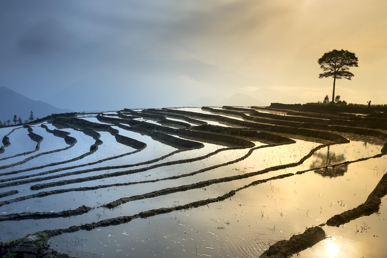 新鄉(xiāng)鳳泉湖最新進(jìn)展揭秘，生態(tài)城市壯麗序幕正式拉開(kāi)！