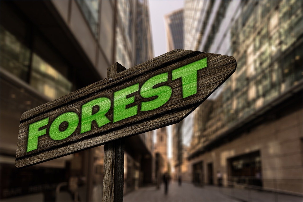 最新567彩票app下載體驗，探索最新版本的功能與優(yōu)勢