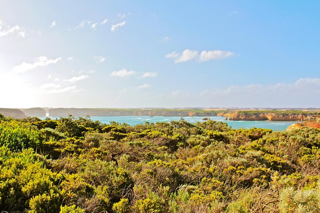 水洛鎮(zhèn)崖王村最新動(dòng)態(tài)更新，最新消息匯總