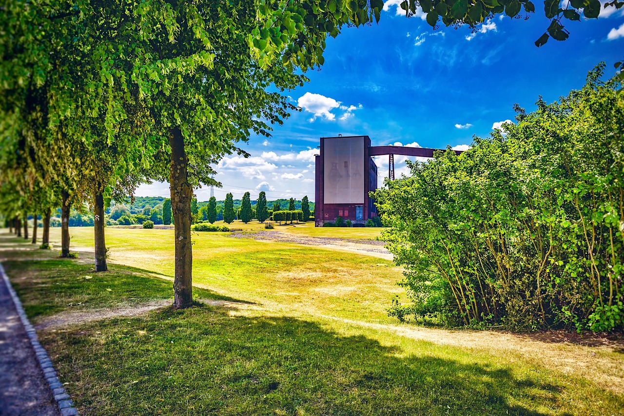 千囚梔愿 第8頁