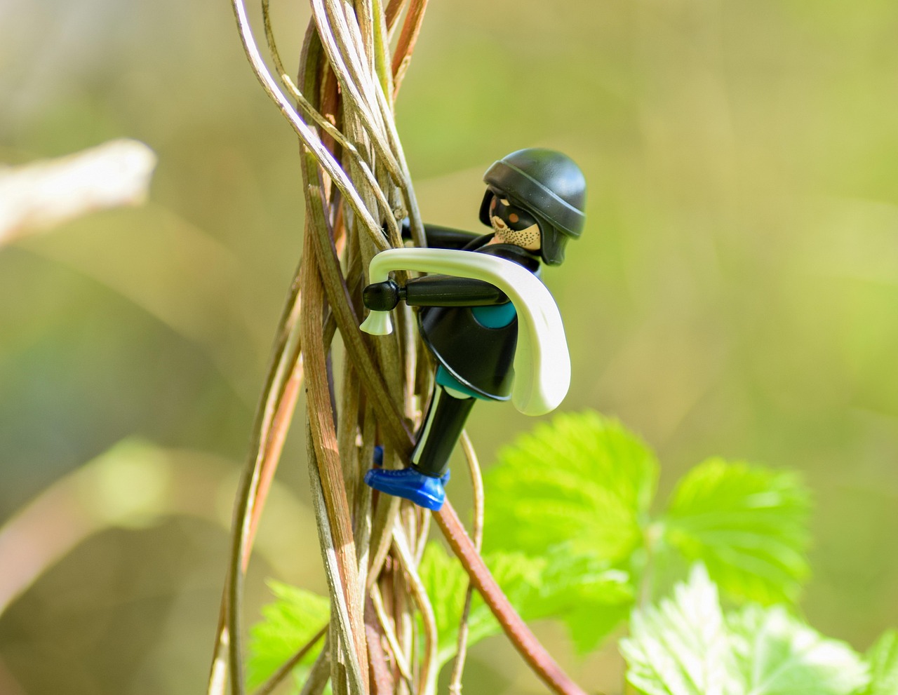 永城三輪車上牌最新消息，最新動態(tài)一網(wǎng)打盡