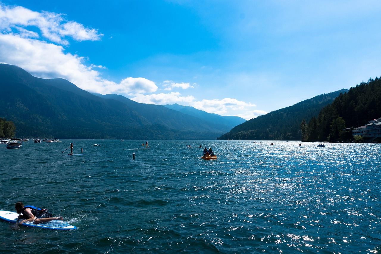 廣東省李峰最新消息概覽，最新動態(tài)與進(jìn)展。