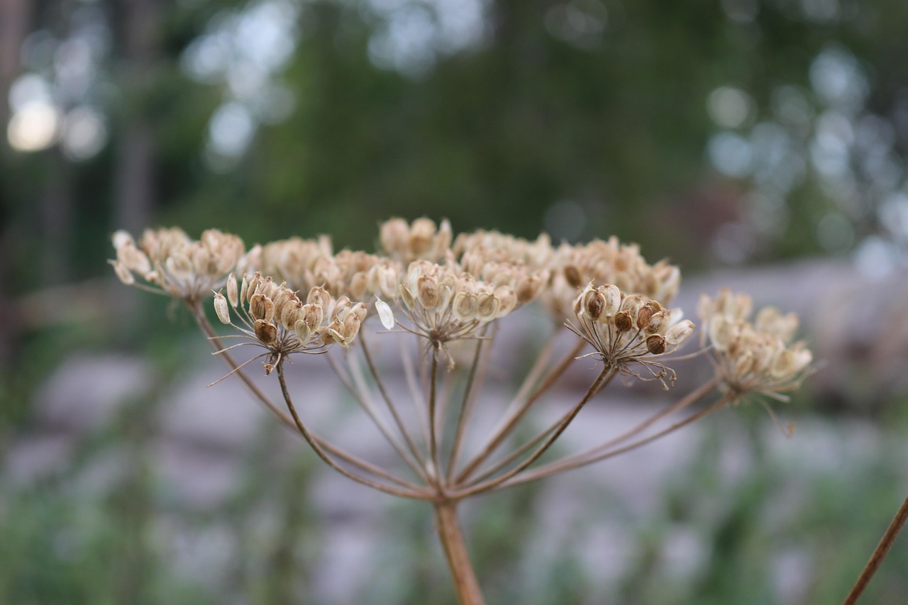 中源協(xié)和停牌最新消息全面解析與動態(tài)關注