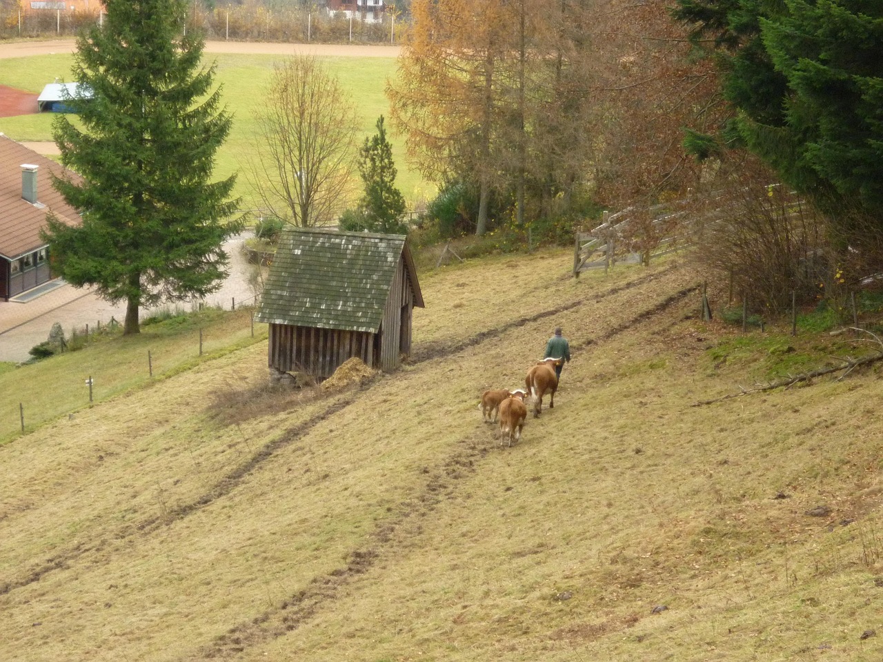 QQ農(nóng)牧場偷匪最新版，開啟游戲樂趣與挑戰(zhàn)的新篇章