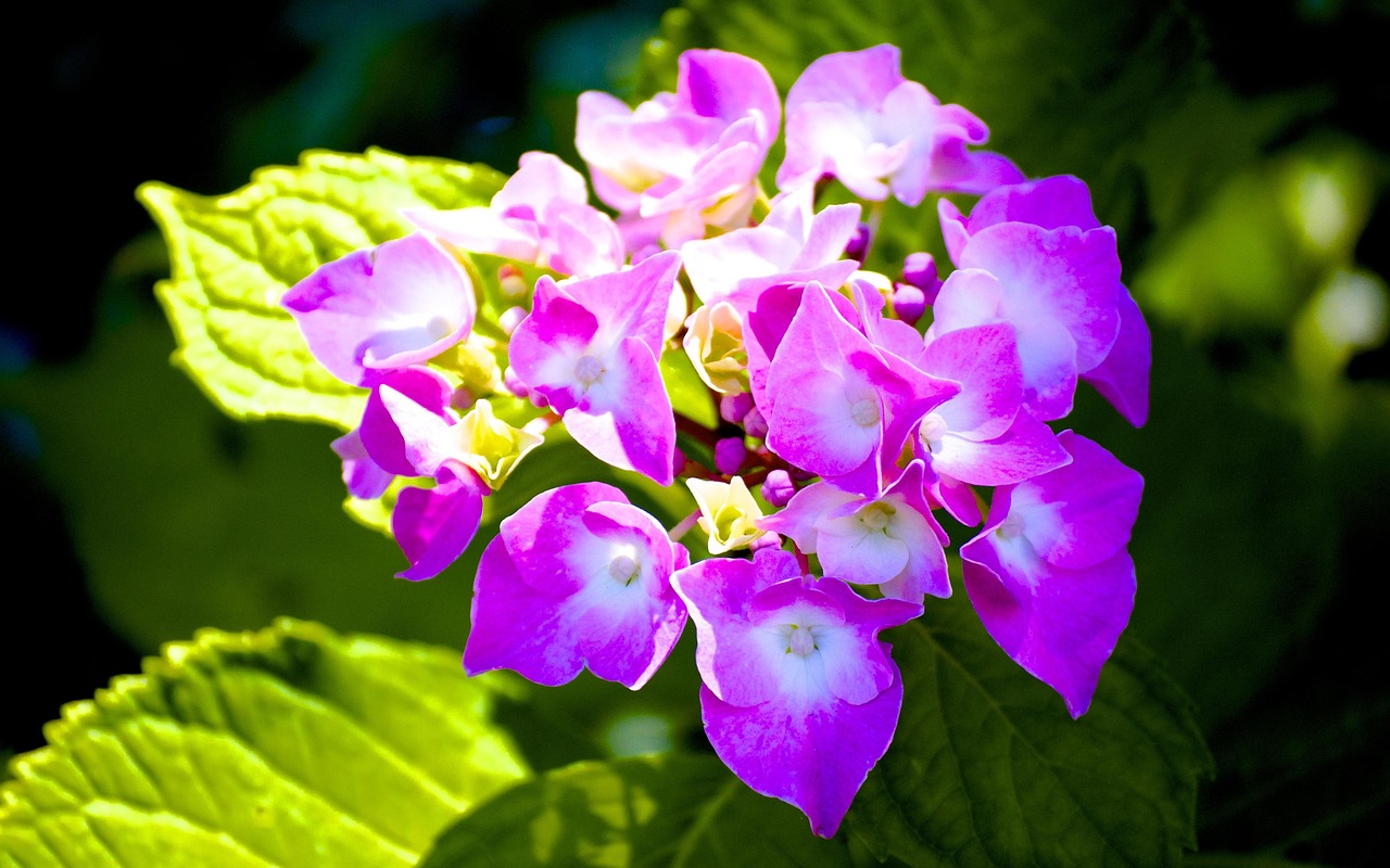 李景文將軍的最新動(dòng)態(tài)，軍事生涯與卓越貢獻(xiàn)概述