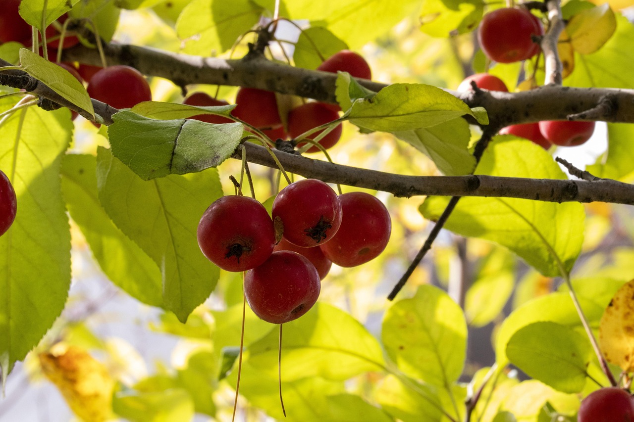 崇外6號地騰退最新動態(tài)，城市更新與社區(qū)發(fā)展新篇章