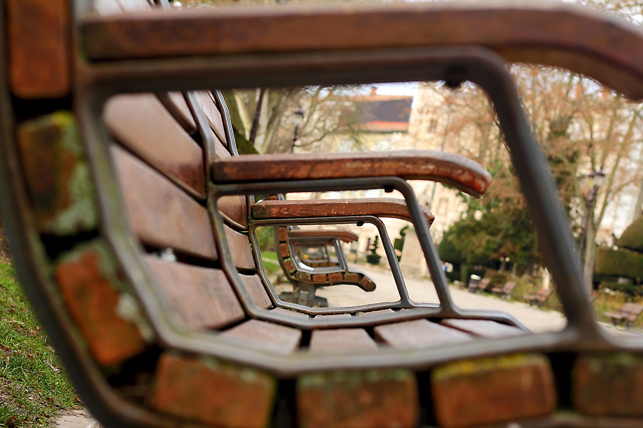 攀枝花新聞網(wǎng)，城市發(fā)展與民生動態(tài)的最新窗口