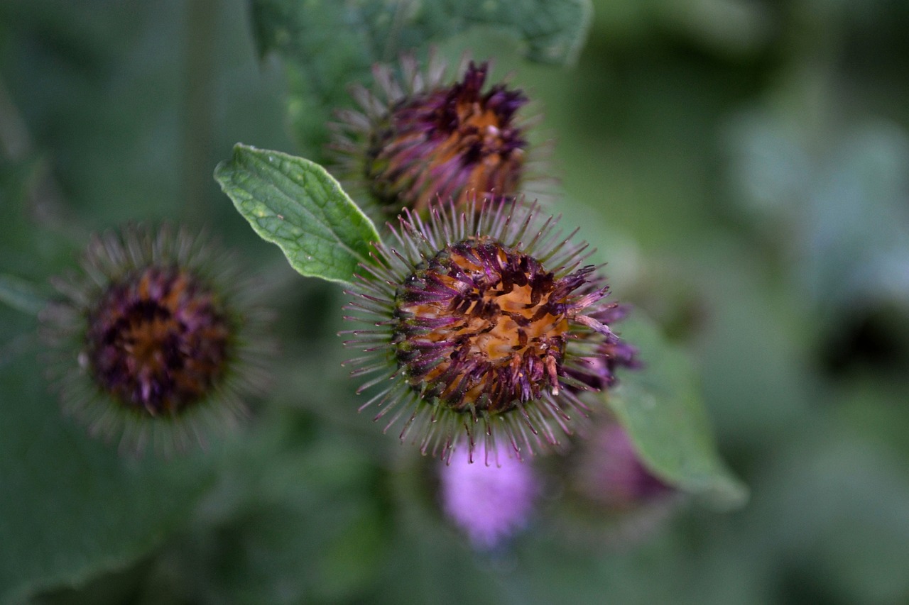 蕪湖市三山區(qū)最新招聘信息概覽，最新職位與招聘動(dòng)態(tài)全解析