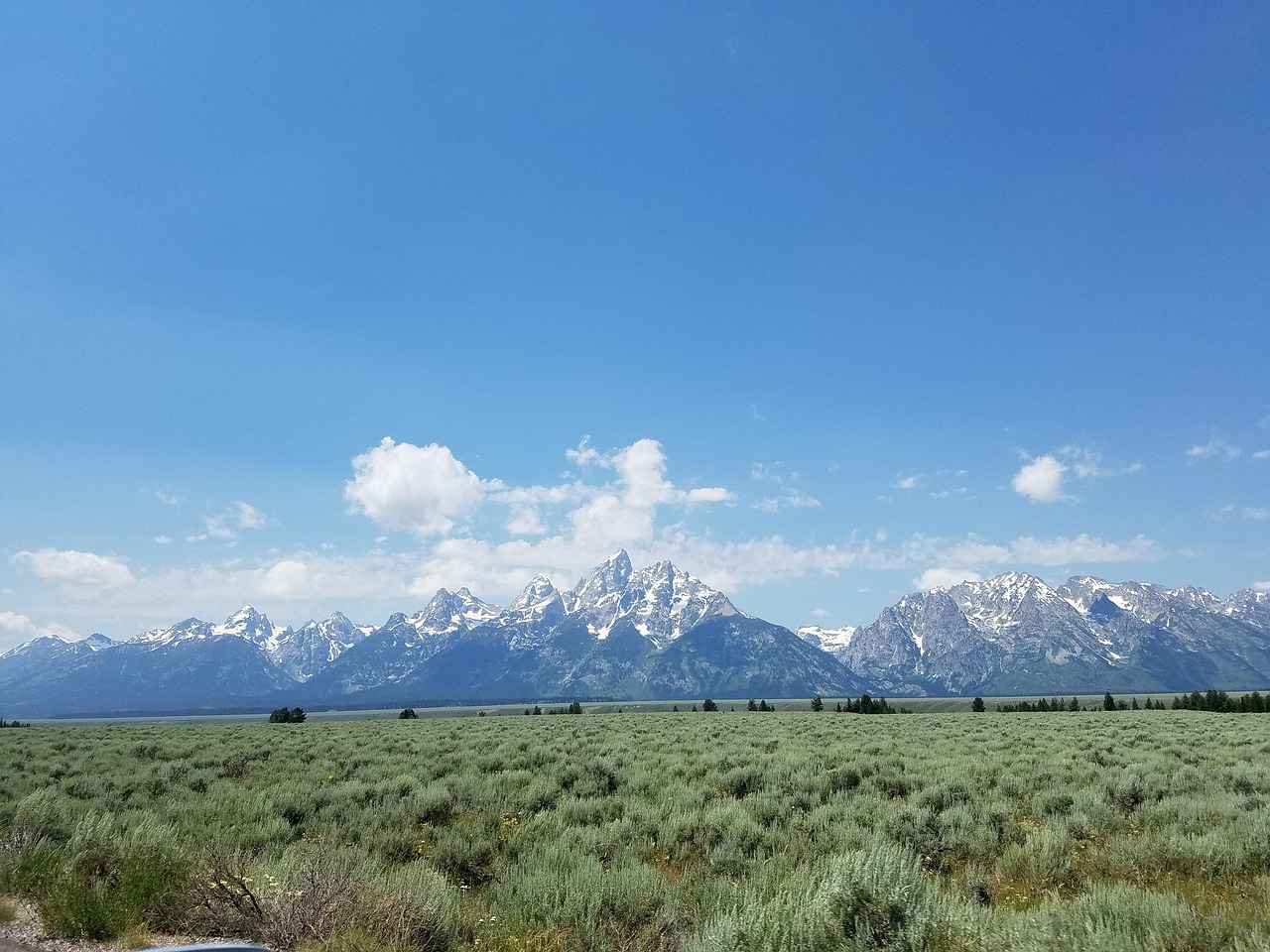 崀山犬木塘庫最新動態(tài)，揭開神秘面紗下的壯麗景象揭秘