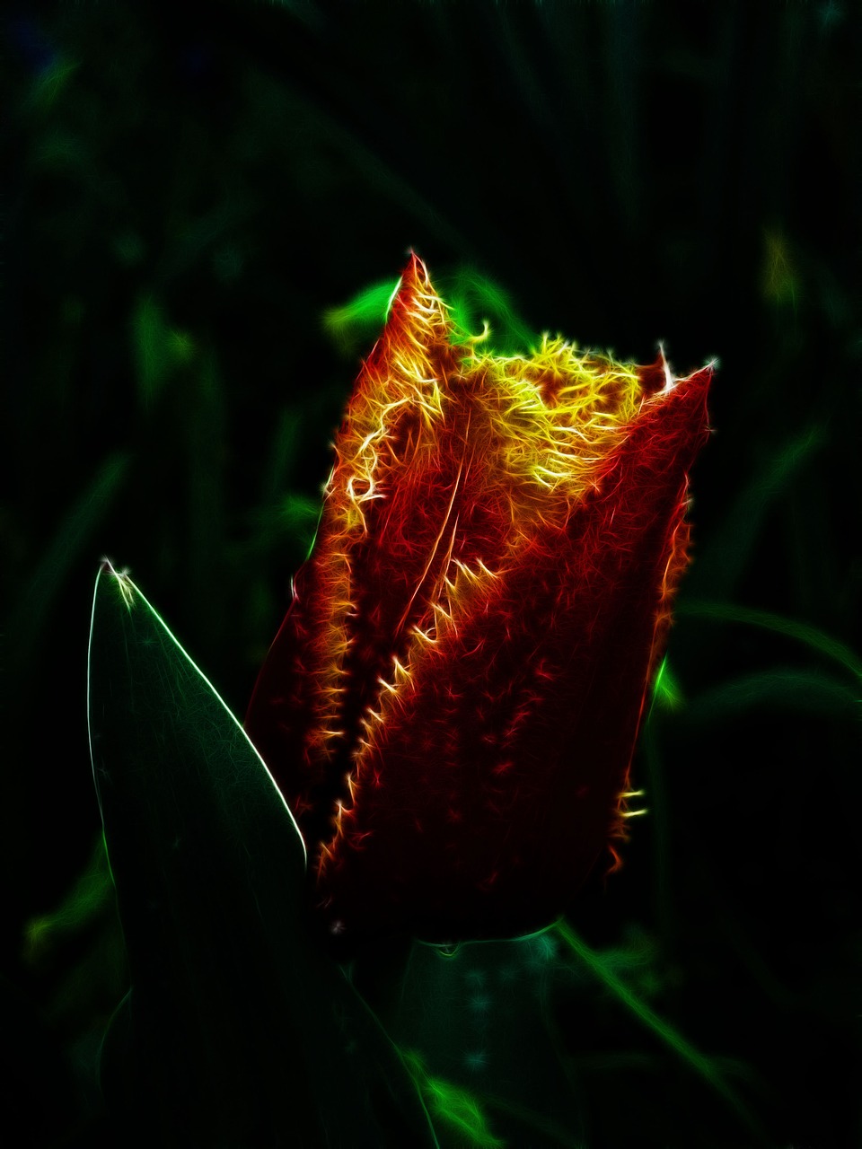 最新朵色產(chǎn)品進(jìn)貨價格表圖詳解，全面了解朵色進(jìn)貨價格動態(tài)