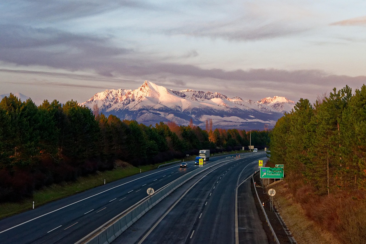 沈陽地鐵10號線最新線路圖概覽，最新線路圖一覽無余