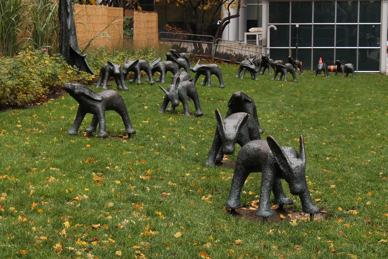 安湯一體化最新動態(tài)，引領(lǐng)城市發(fā)展的新浪潮