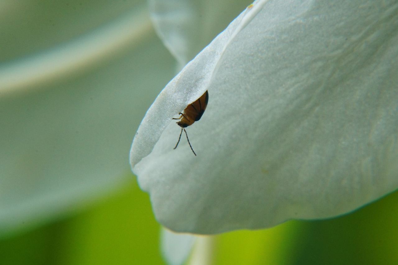 濟南地鐵R2線最新進展報告更新，最新動態(tài)揭秘！