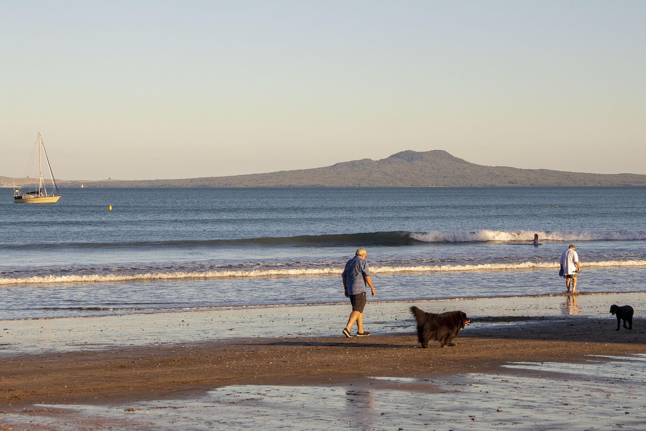 山西退休職工養(yǎng)老金調(diào)整最新動(dòng)態(tài)，改革進(jìn)展、未來(lái)展望與調(diào)整消息速遞