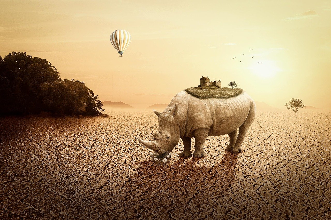 高陽(yáng)最新樓盤(pán)信息全面解析，最新房源、動(dòng)態(tài)及優(yōu)惠一網(wǎng)打盡！