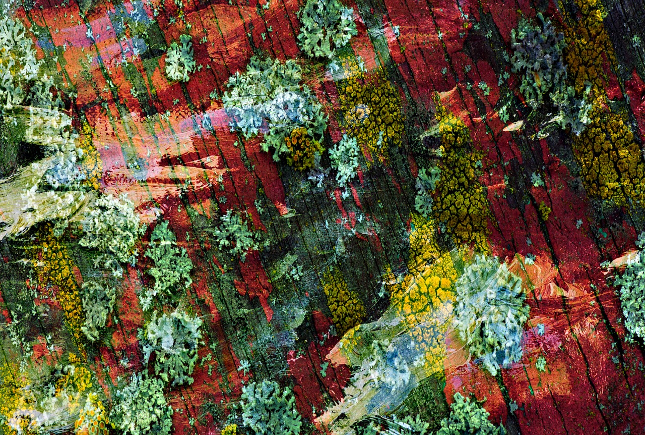 自然與現(xiàn)代交融的山野雜家新風貌，鄉(xiāng)村新篇章