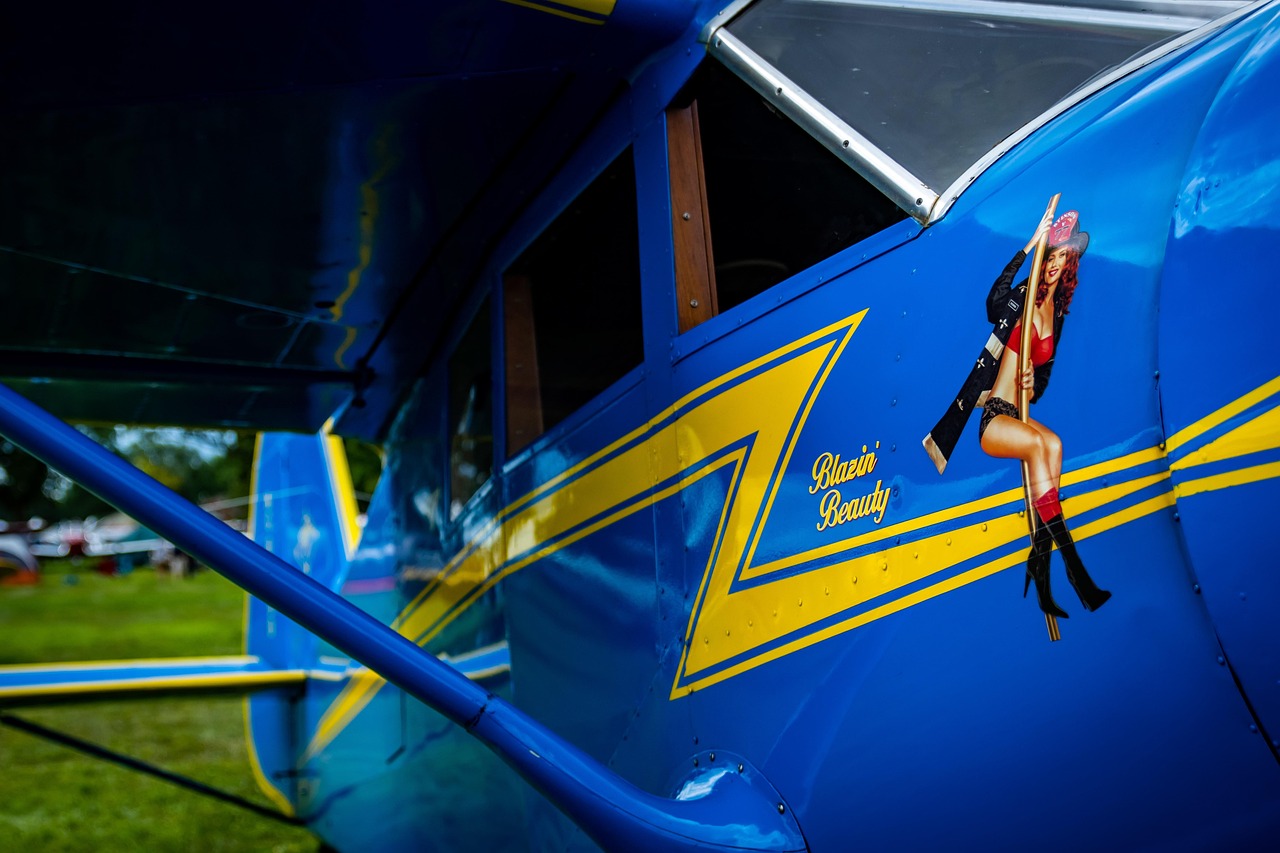 革新觀影體驗，最新視頻app帶你飛！